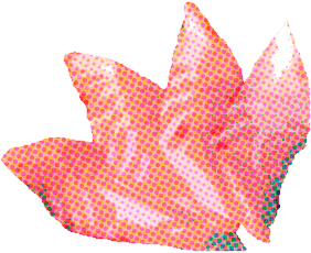 Sashimi de Besugo