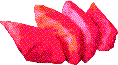 Sashimi de Atún