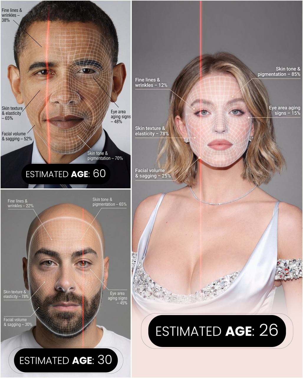 Create an aI Age Estimation Portrait