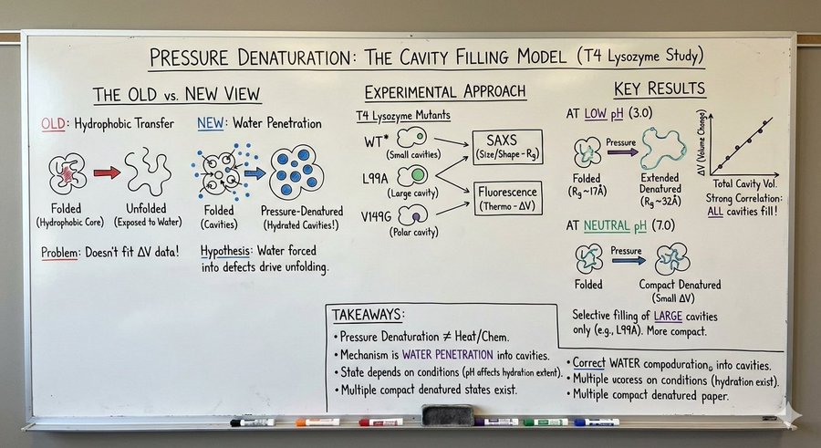Create a scientific Whiteboard Visualizer