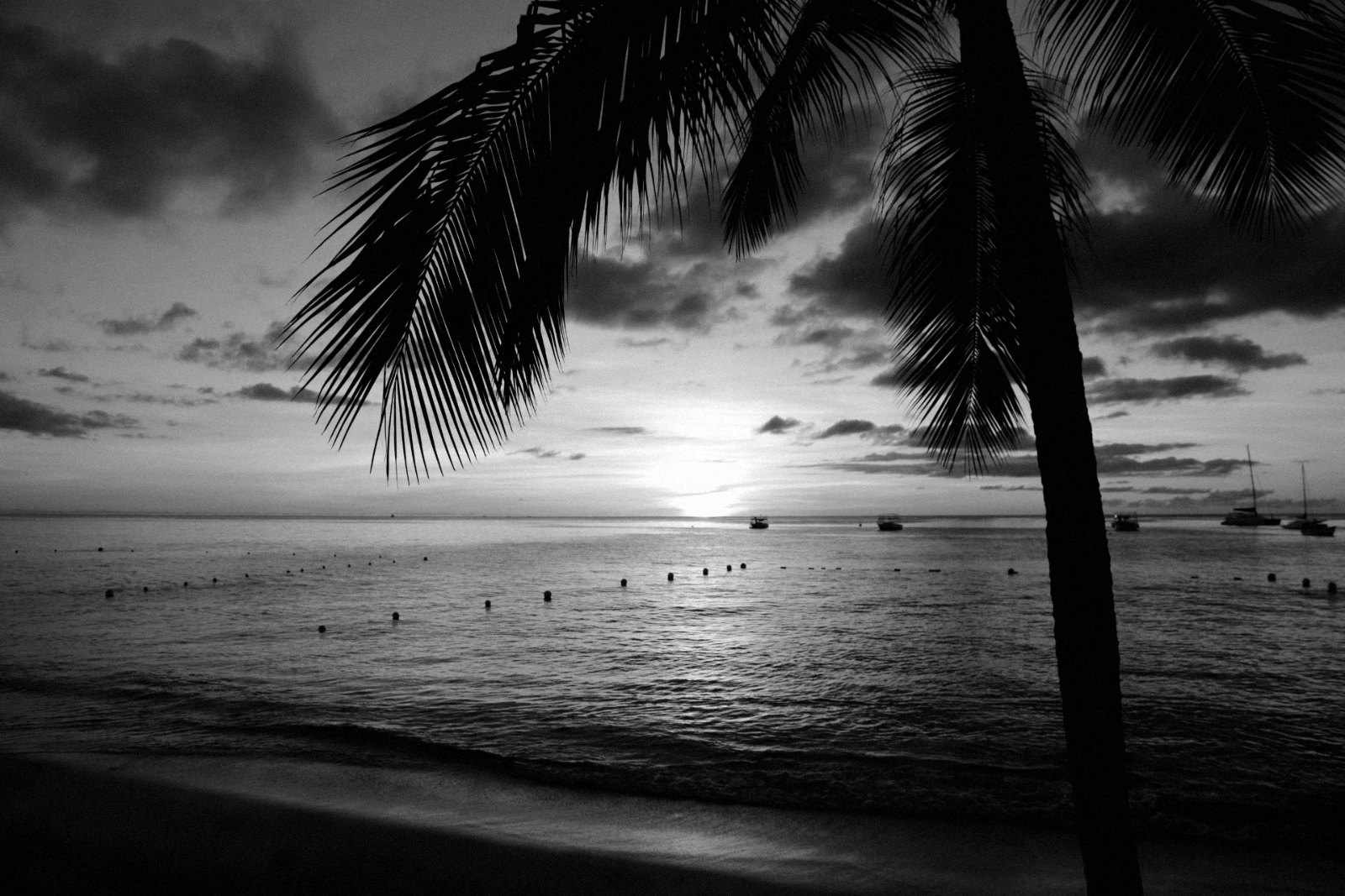 Black-and-white aerial photograph of a calm Caribbean bay in low winter sun, a few yachts at anchor and a line of palms along a pale beach; quiet, uncrowded, wide horizon.