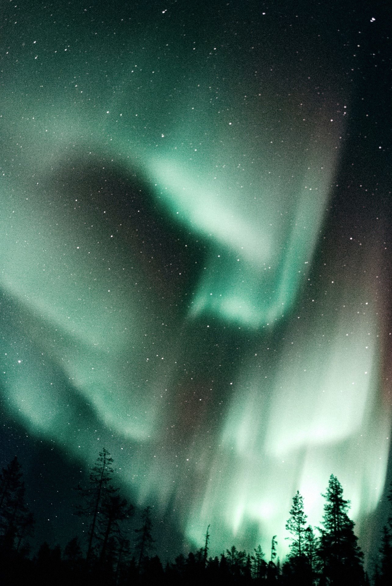 Black-and-white, long-exposure photograph of the aurora arcing over a snow-covered Lapland forest, a single lit lodge low in the frame; atmospheric and quiet.