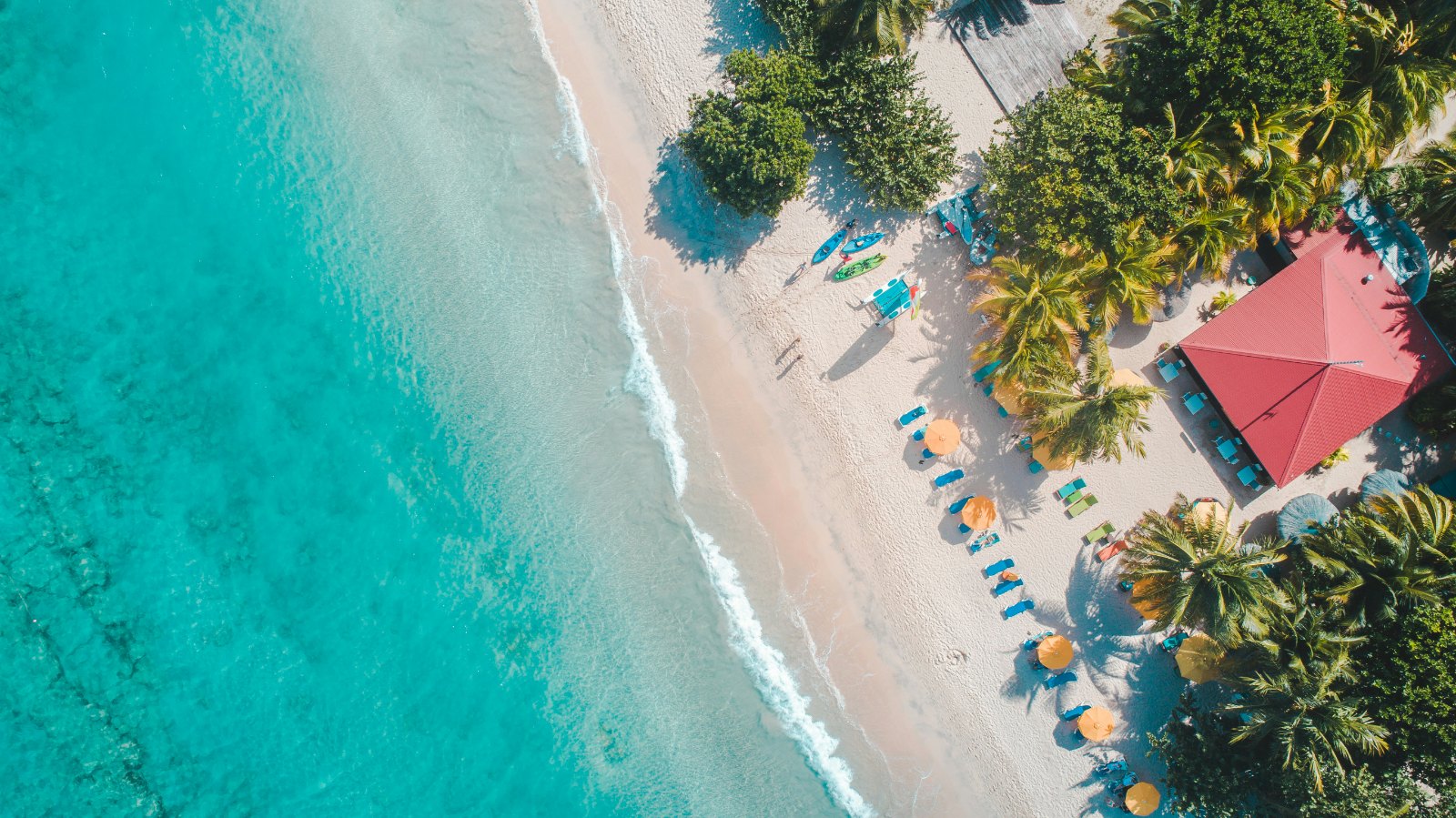 Aerial view of a white-sand beach, turquoise sea and palms