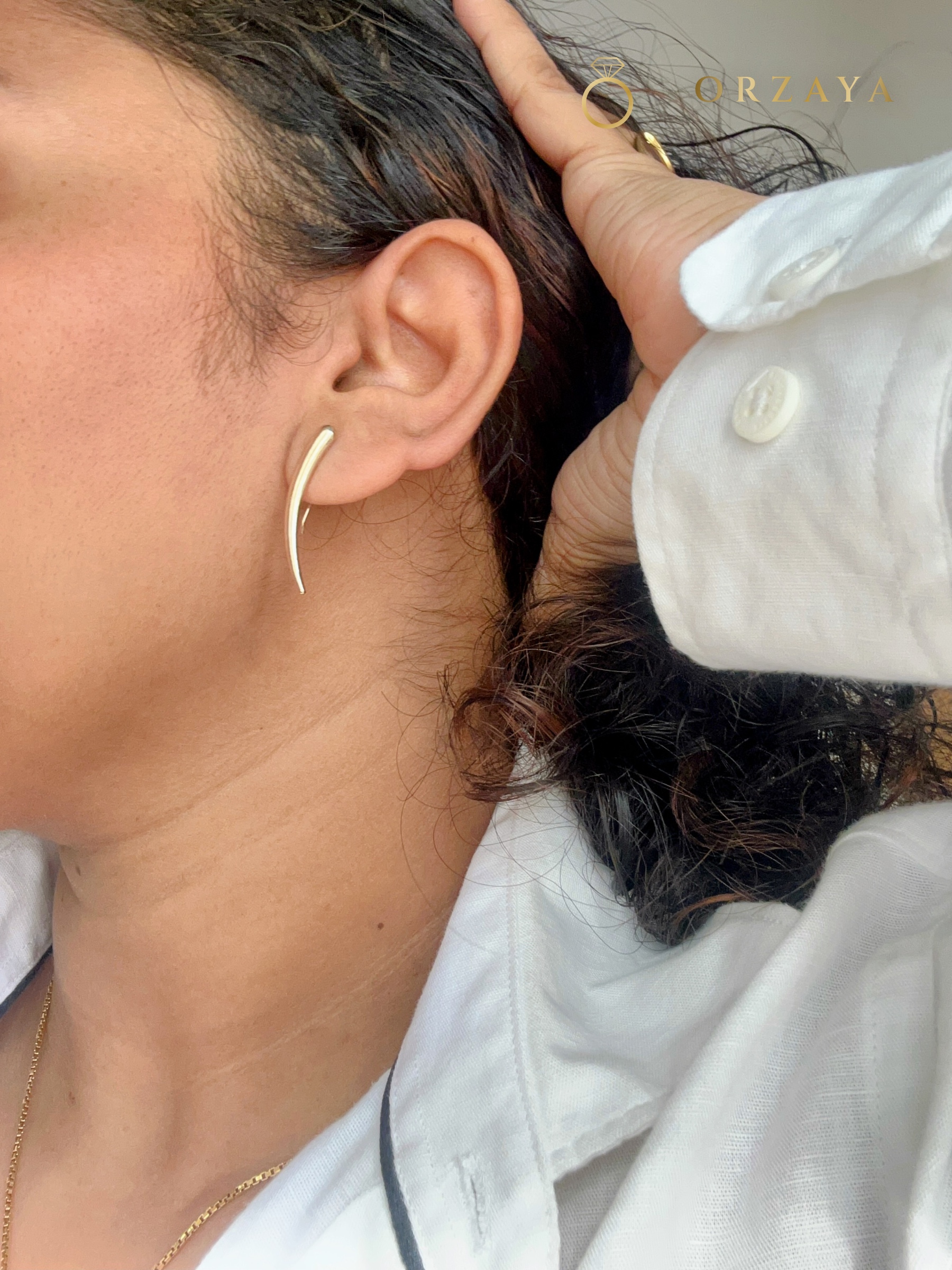 Aura Curved Horn Earrings — earrings in 316L Stainless Steel