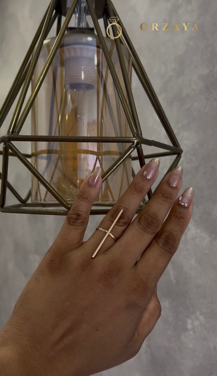Astra Vertical Bar Ring — ring in 316L Stainless Steel