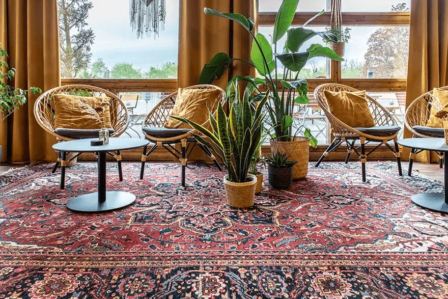 Armchair Nebi in a reference hospitality setting