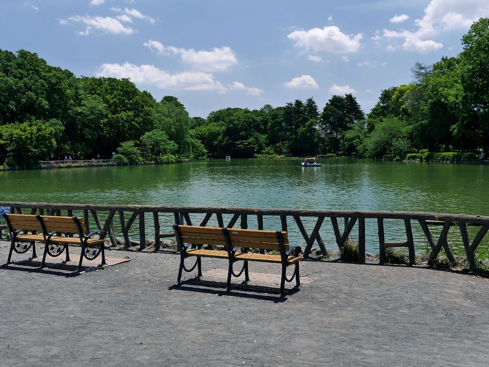 善福寺公園