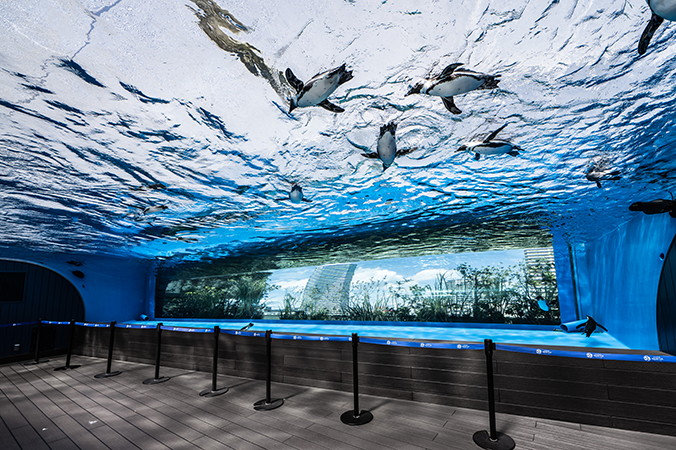 池袋サンシャインシティ水族館