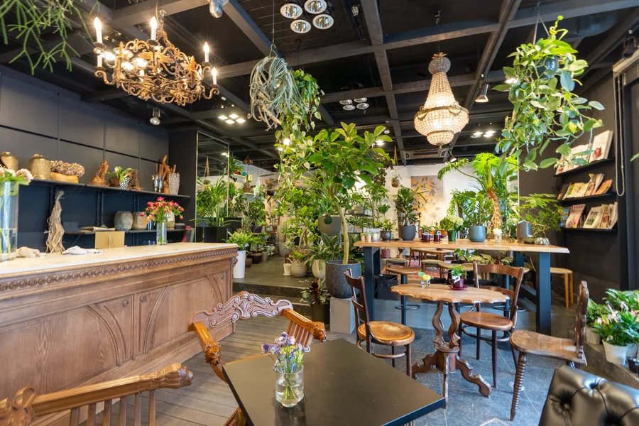 DENDA Flowers & Plants