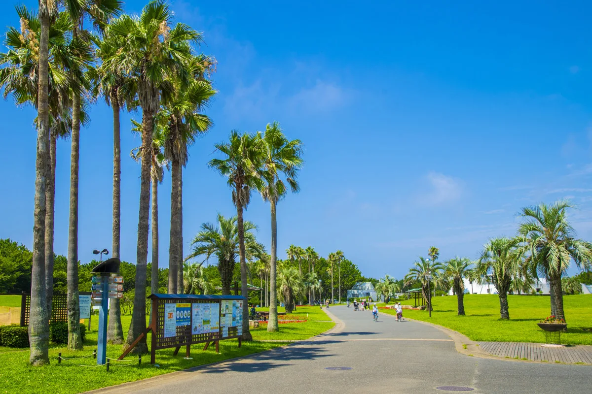 神奈川県立辻堂海浜公園