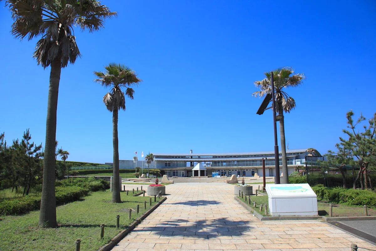 神奈川県立湘南海岸公園