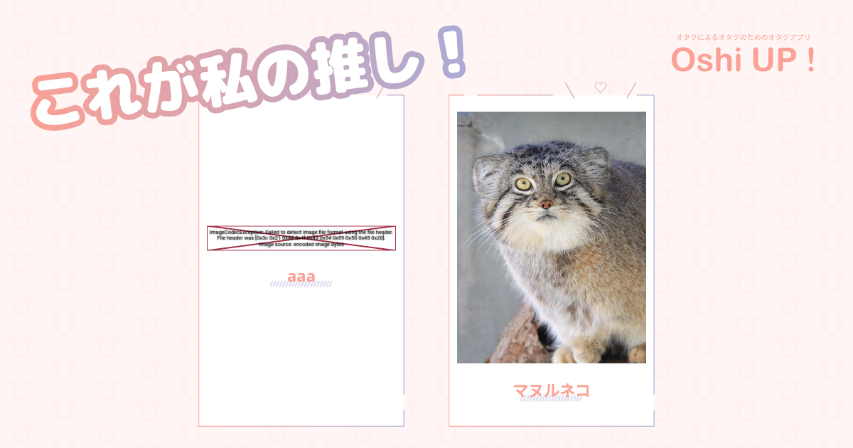 プロフィール画像