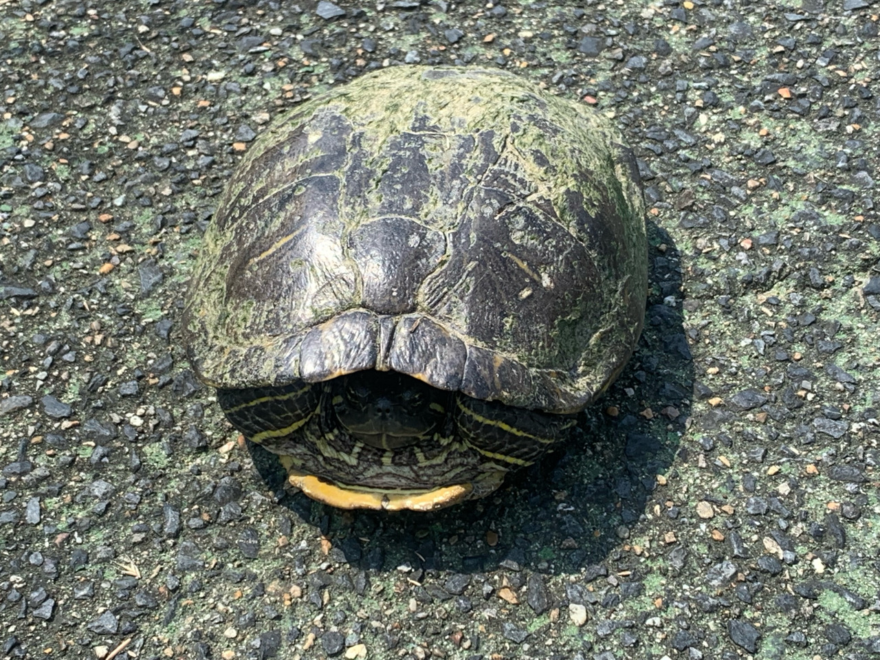 掲示板の画像