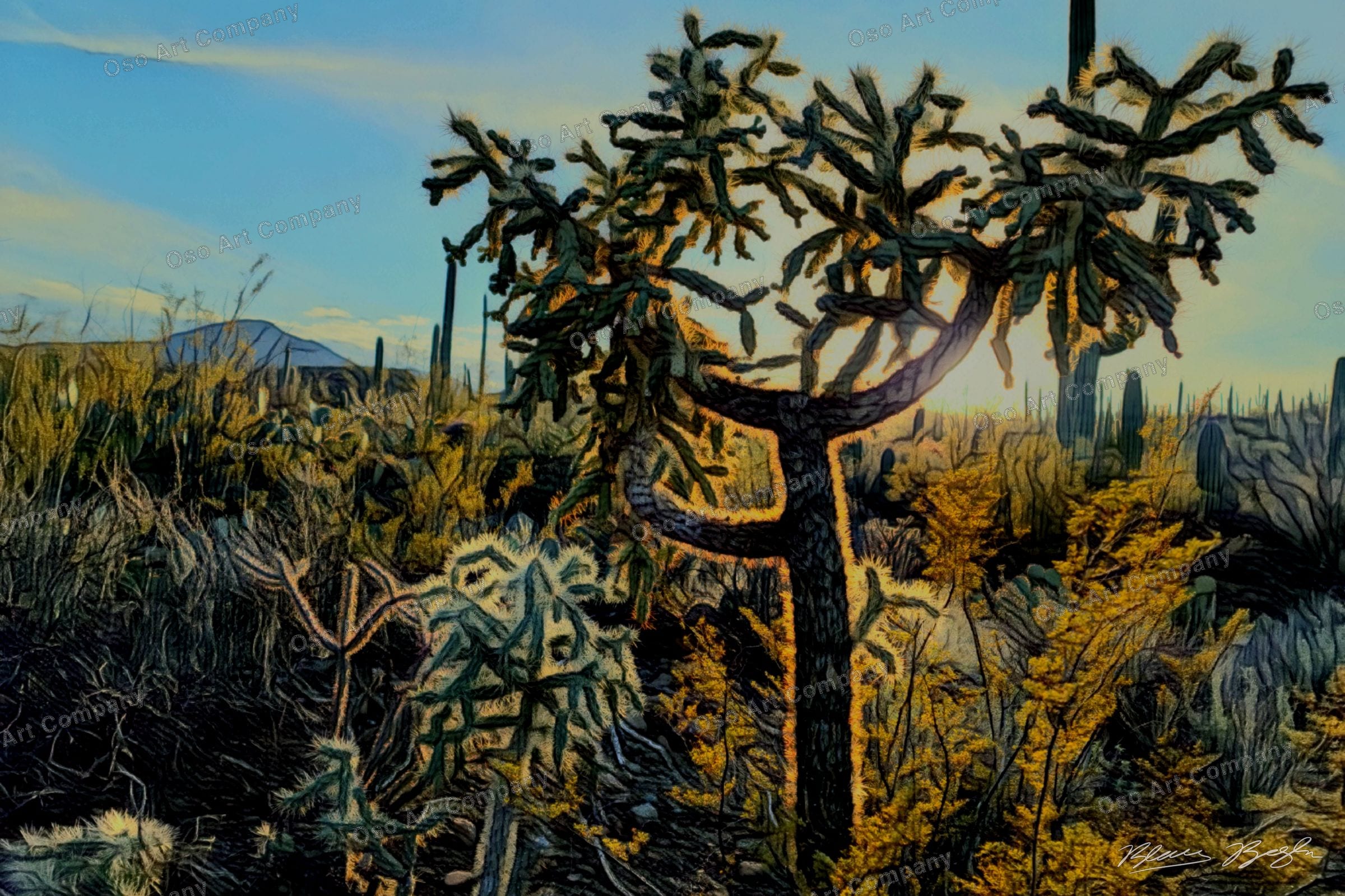 A Joshua Tree Illustration