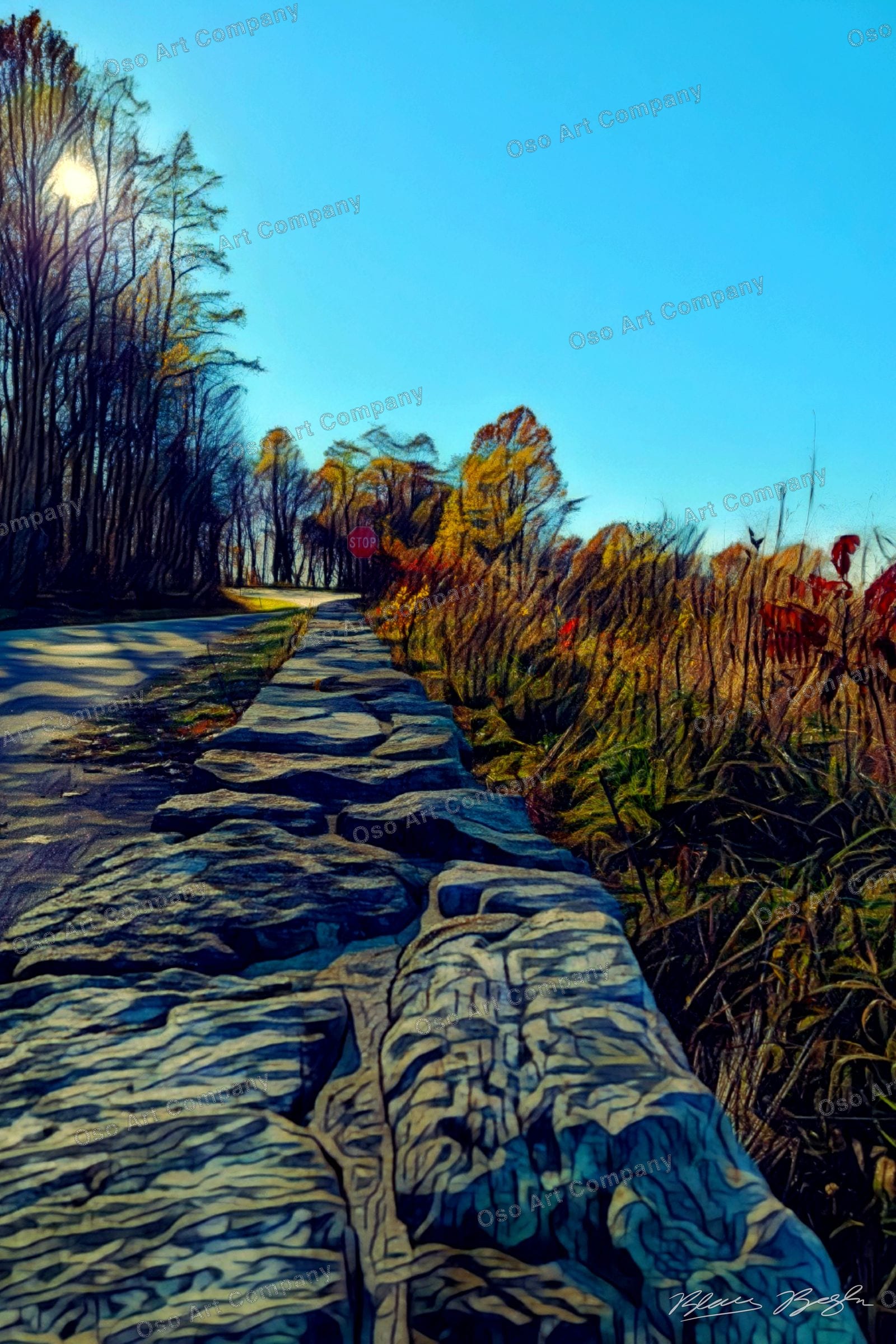 Fall Mountain Road Pt2 Illustration