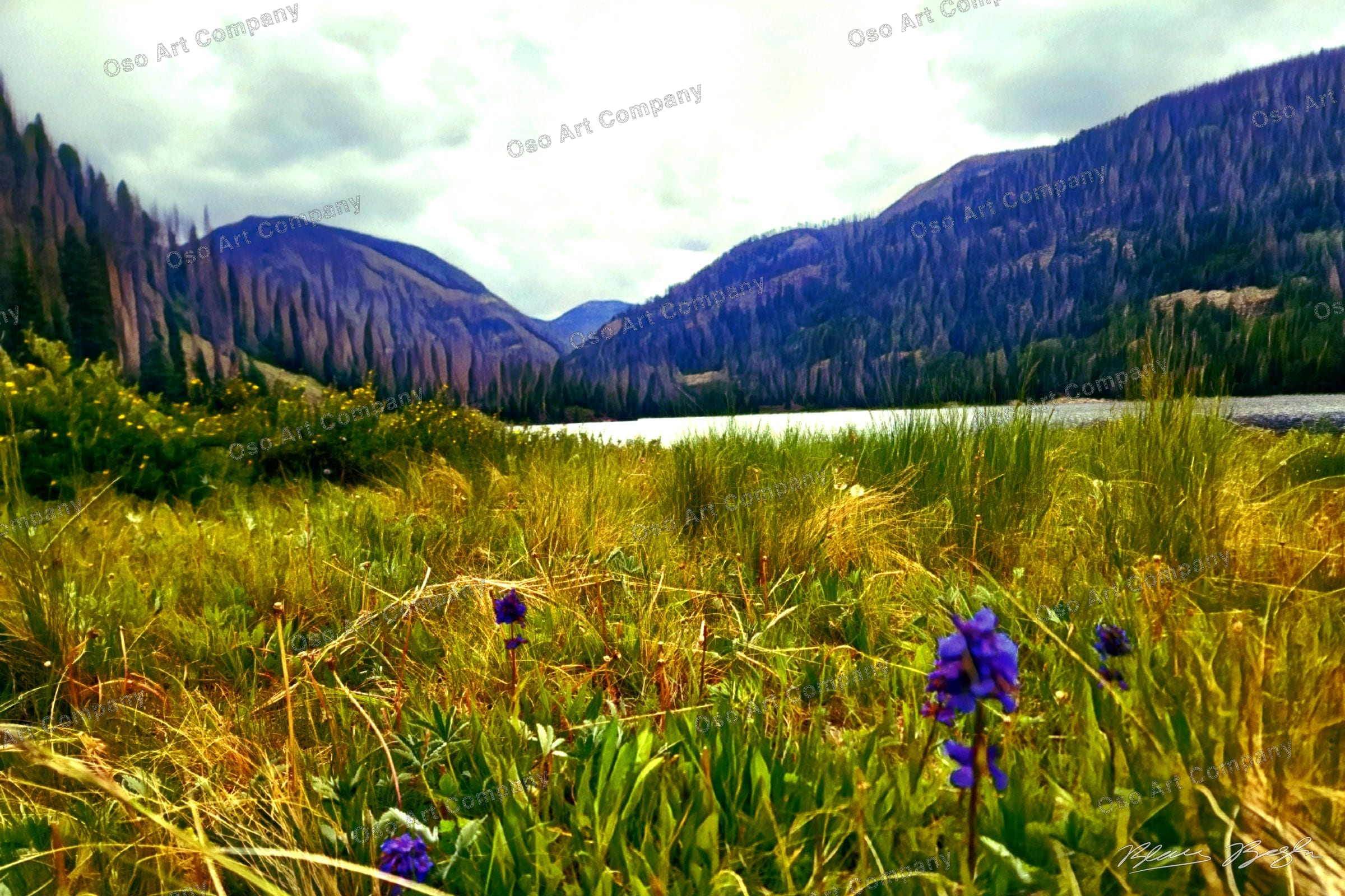 Meadow Mountains Illustration