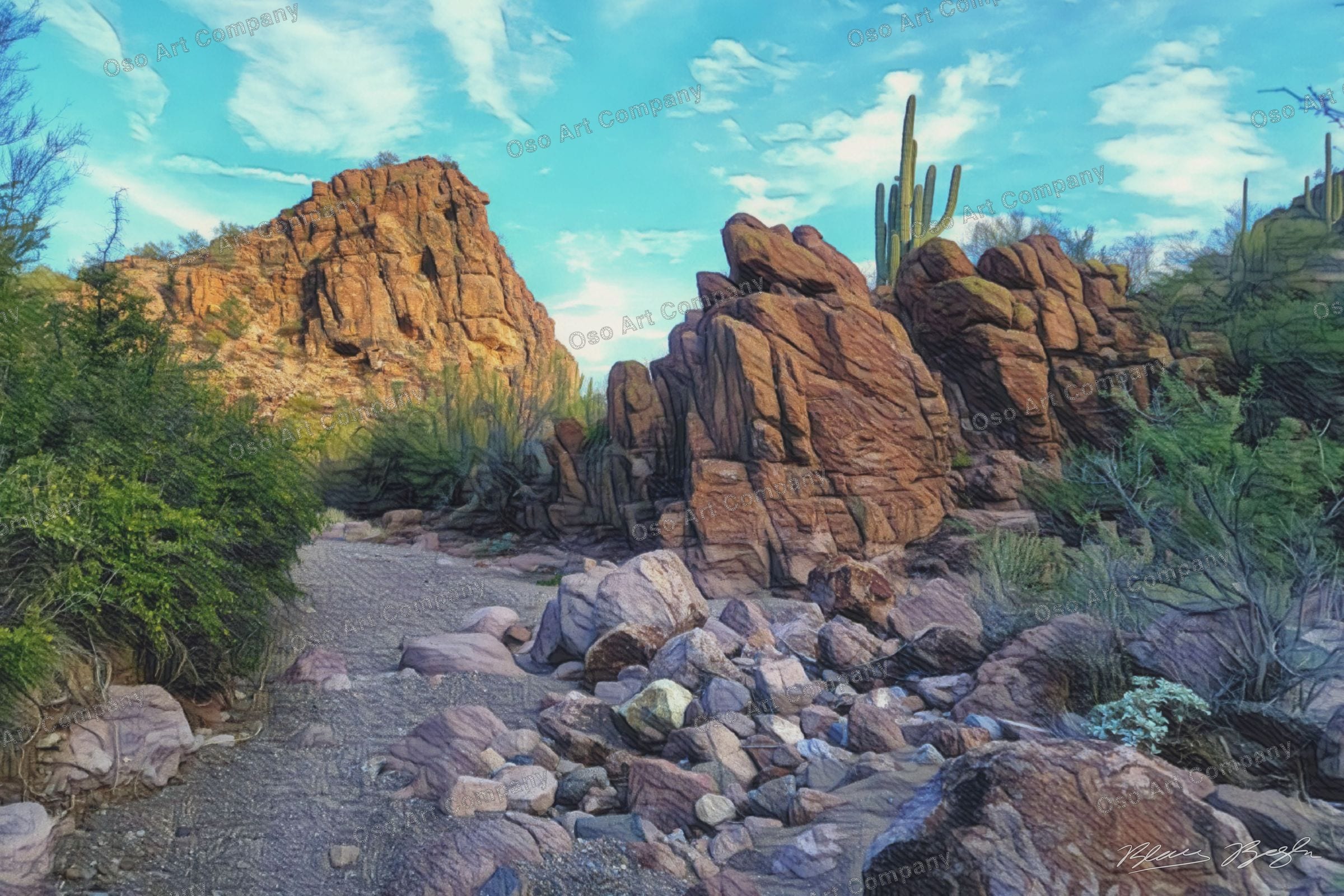 Southern AZ Hike Illustration