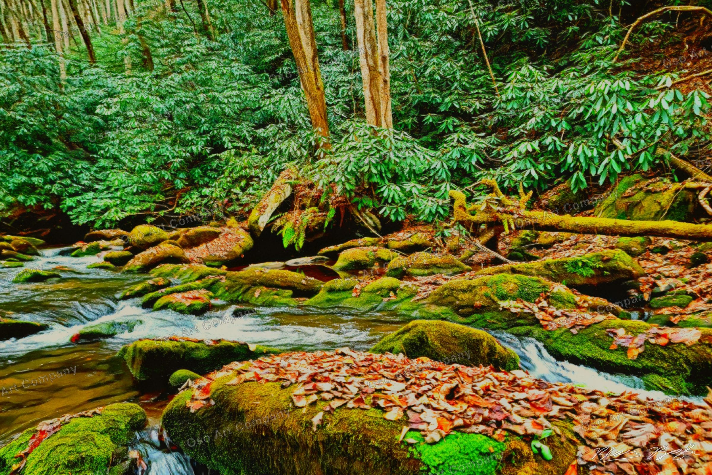 Virgina Babbling Brook