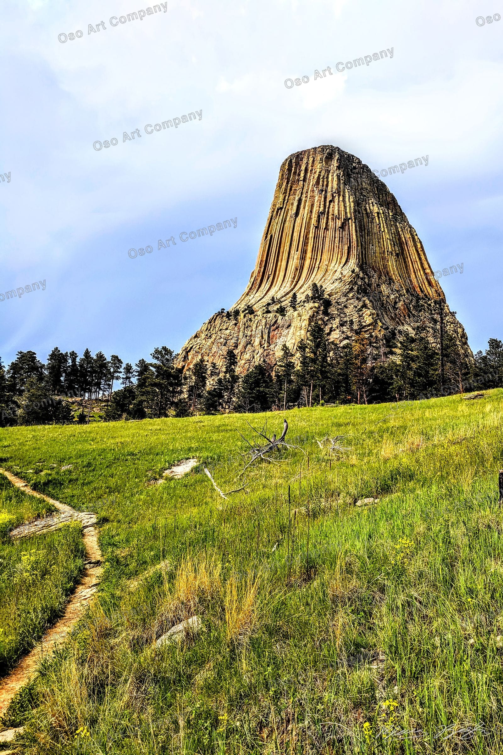 Devils Tower