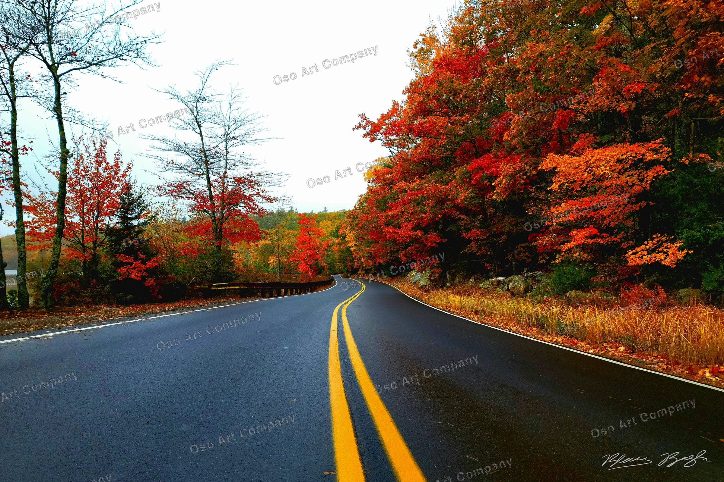 New England Fall Road