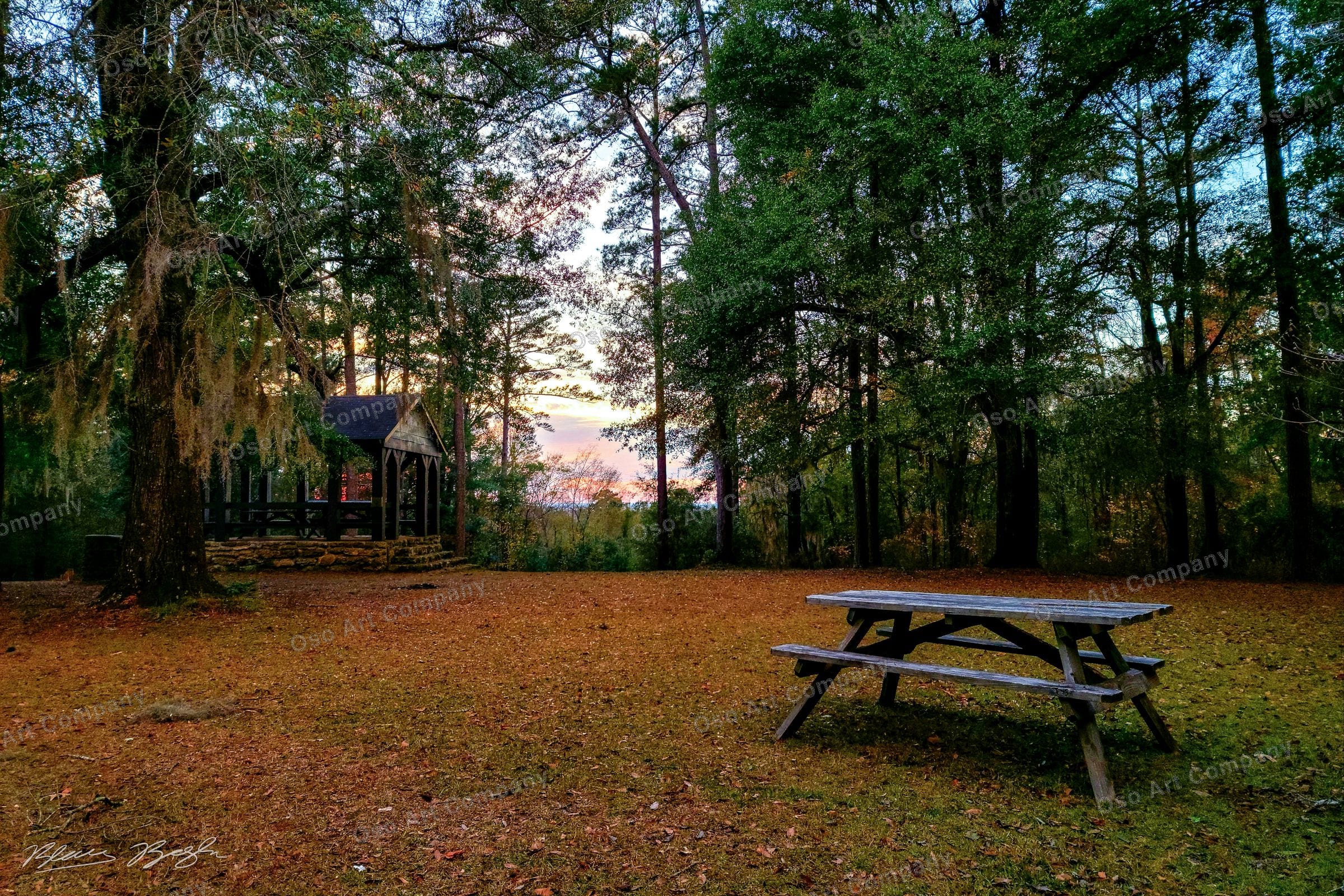 South Carolina Picnic