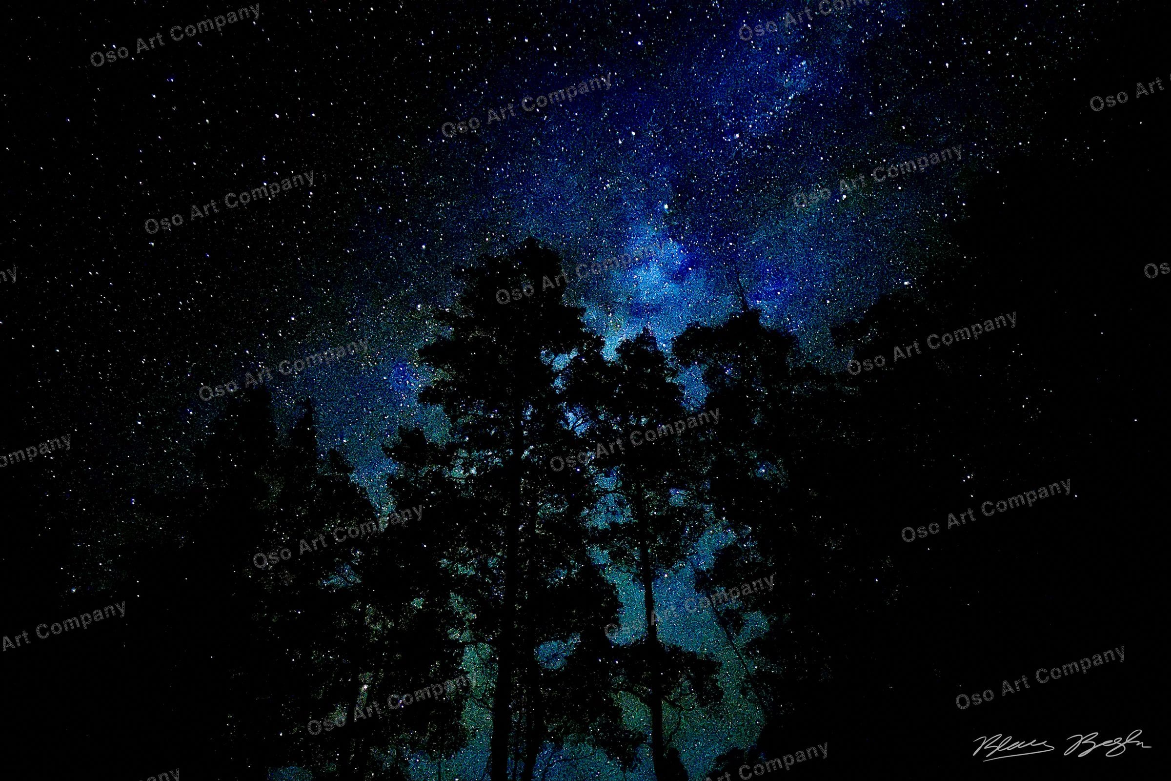 Tree Stars Shoot Woods Lake