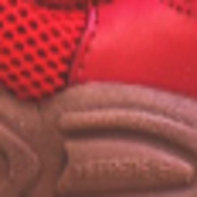 adidas by Raf Simons Replicant Ozweego - Scarlet