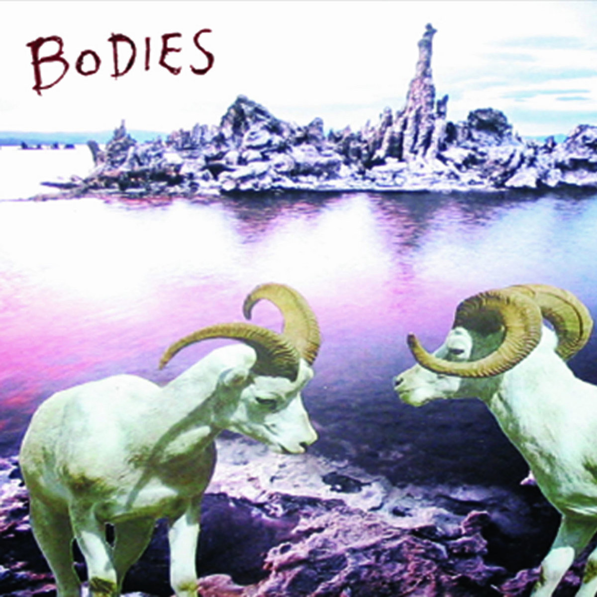 BODIES