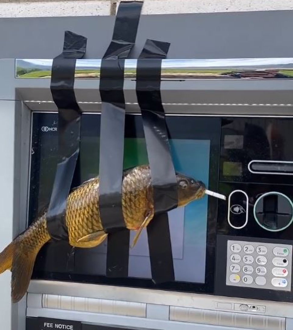 STREET CARP