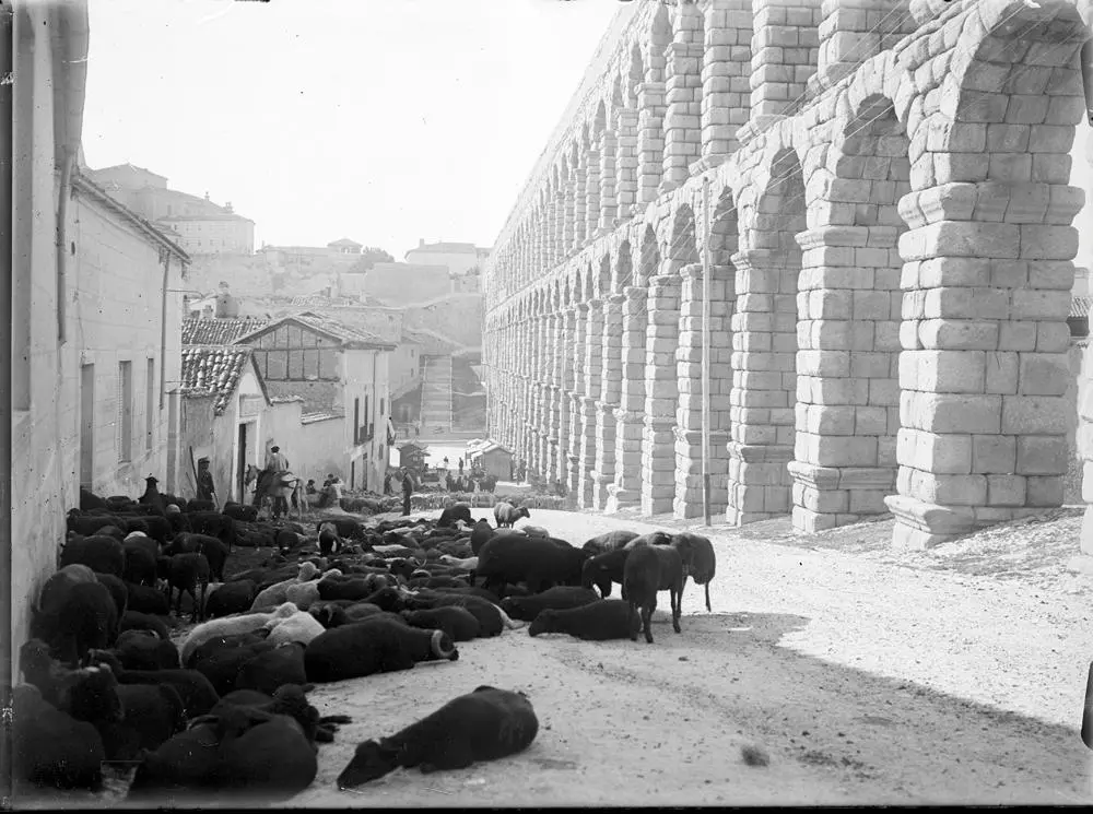 [Segovia]. Aquädukt mit Schafherde [Acueducto con rebaño de ovejas, calle de Teodosio el Grande].