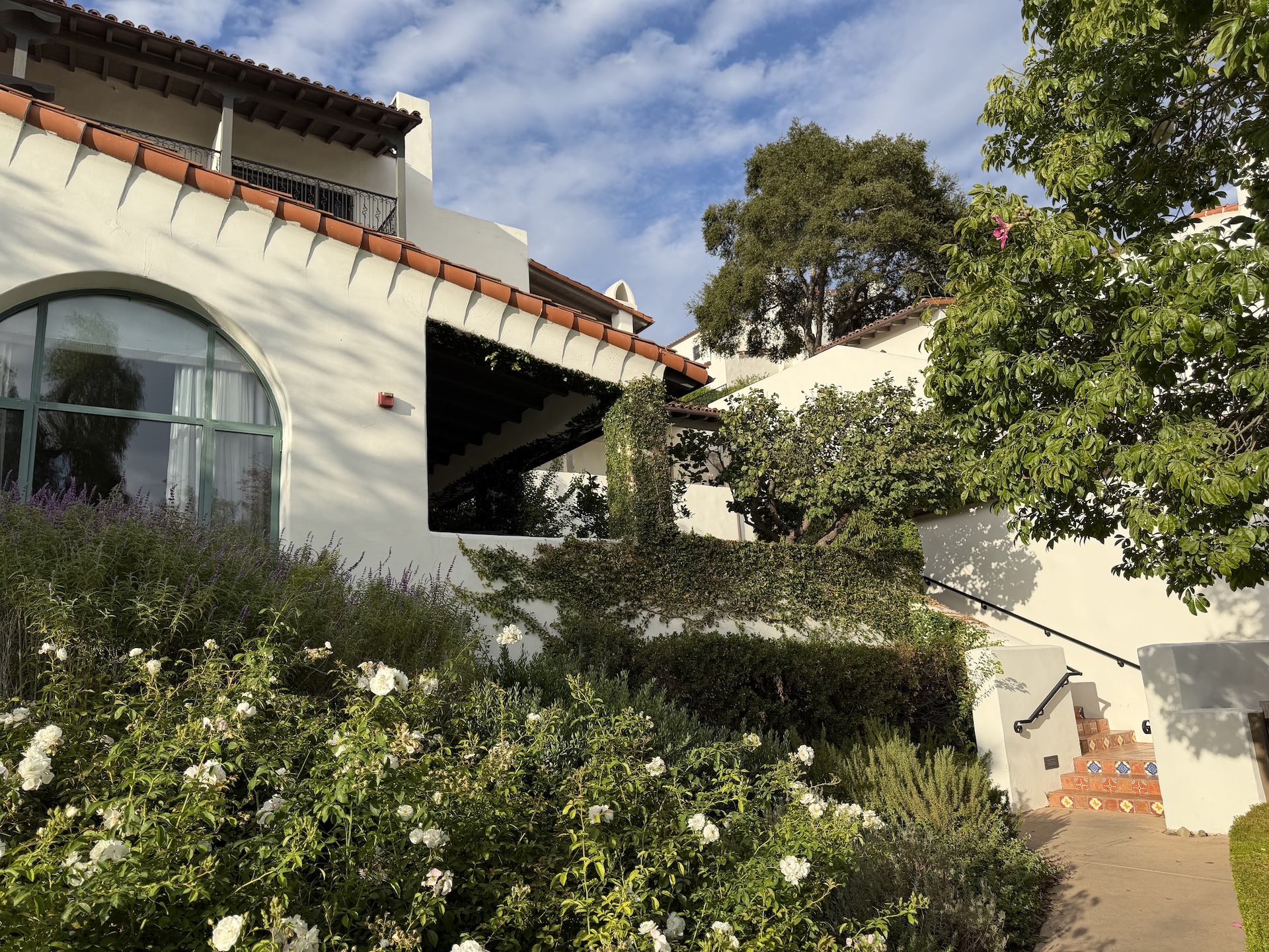 Traveling With Dogs in California: Three Pet-Friendly Hotels We've Stayed At