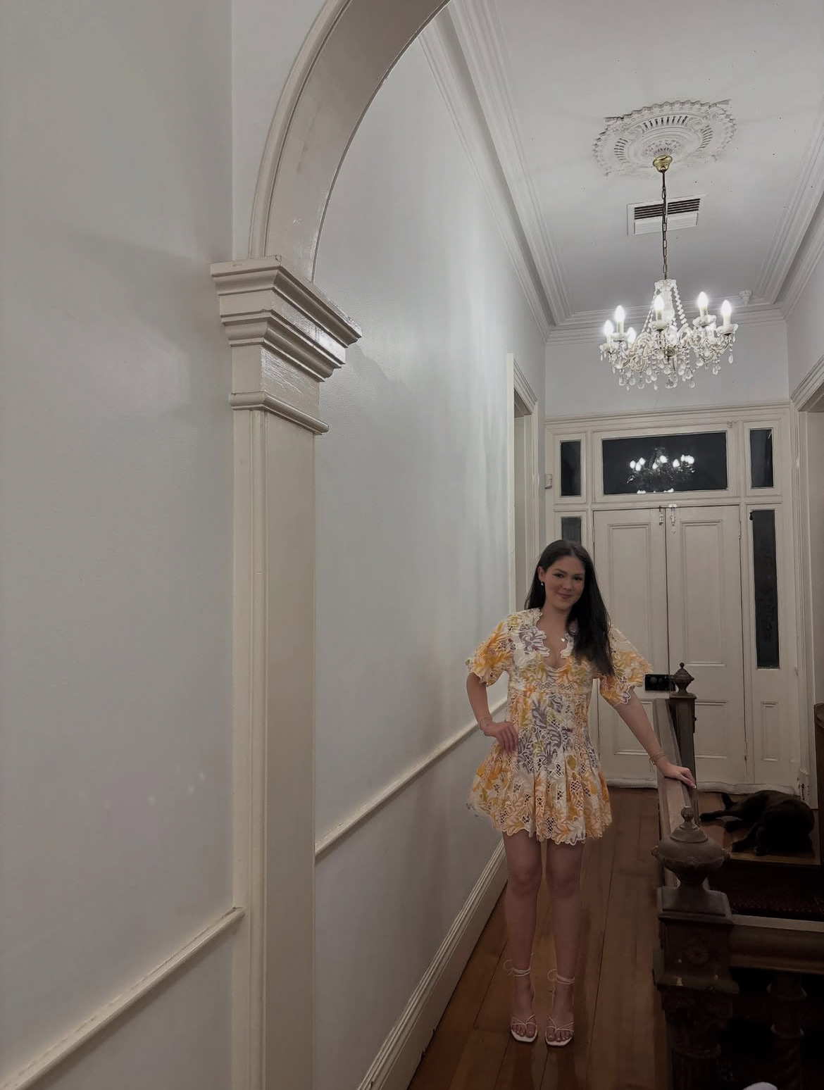 Skirt zaco gramercy dress 3