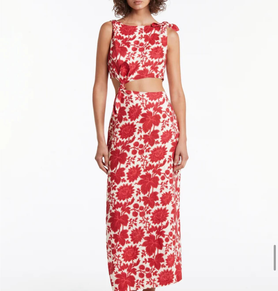 SIR The perfect festive season dress 💌 3