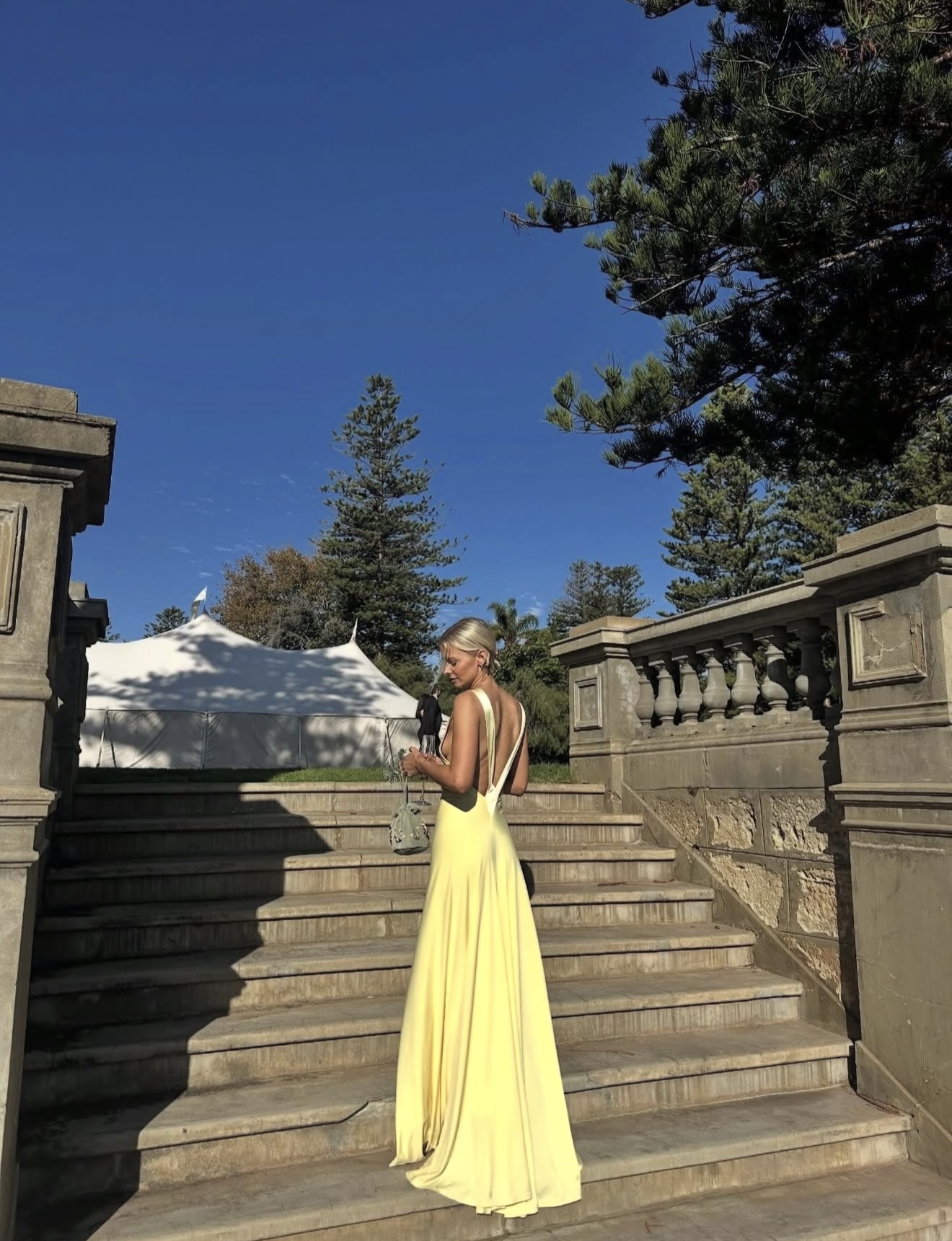 Ance Gria Rosa Gown Lemon 3