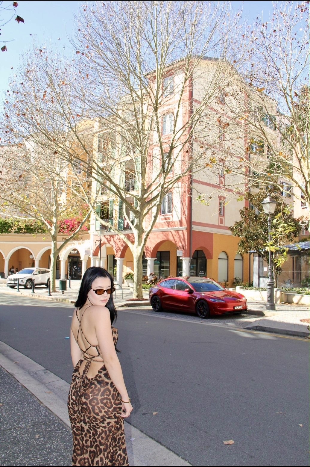 The Alora Dress 2