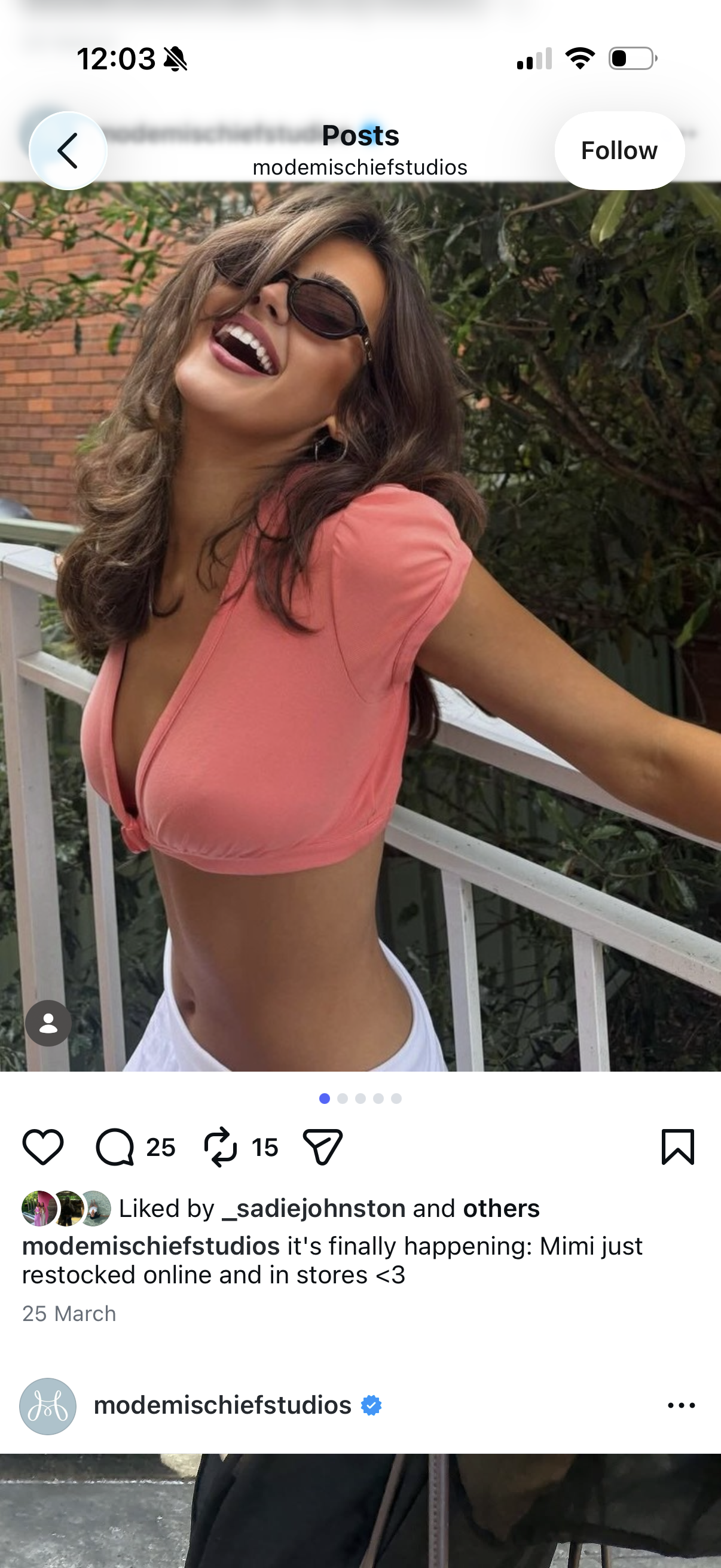 Mode mischief the Mimi crop top 4