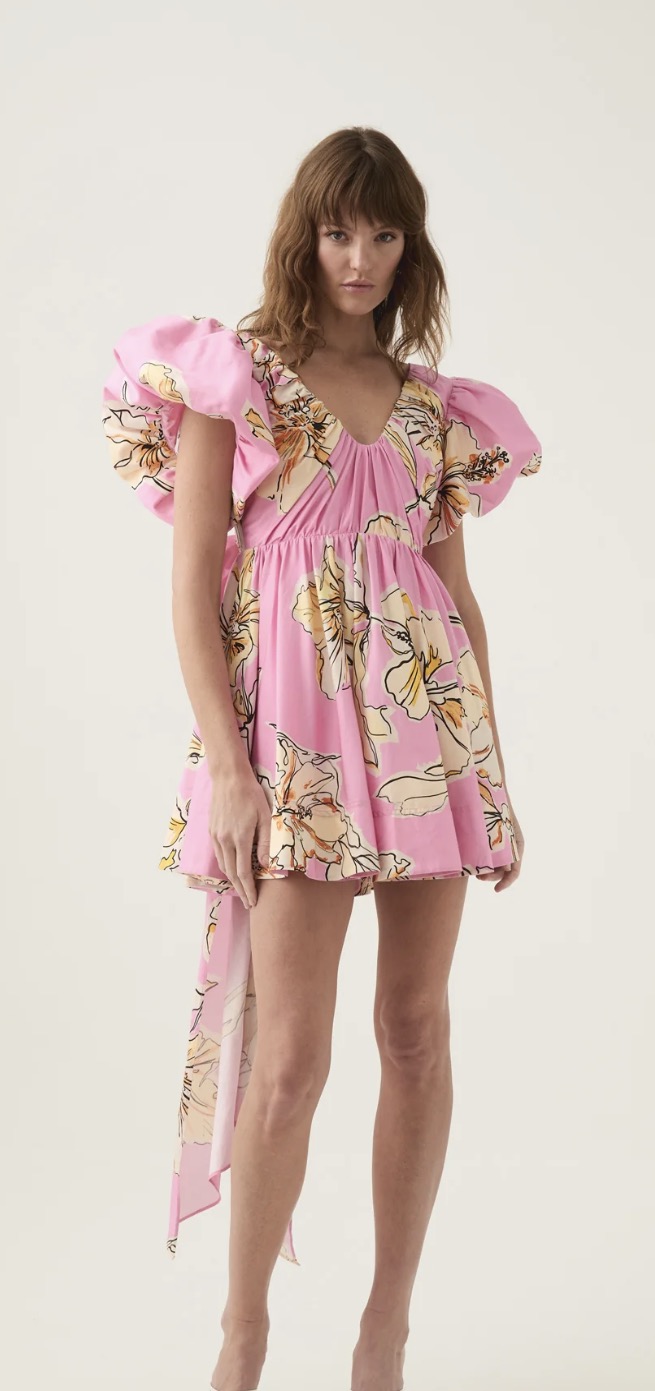 Gretta bow back mini dress