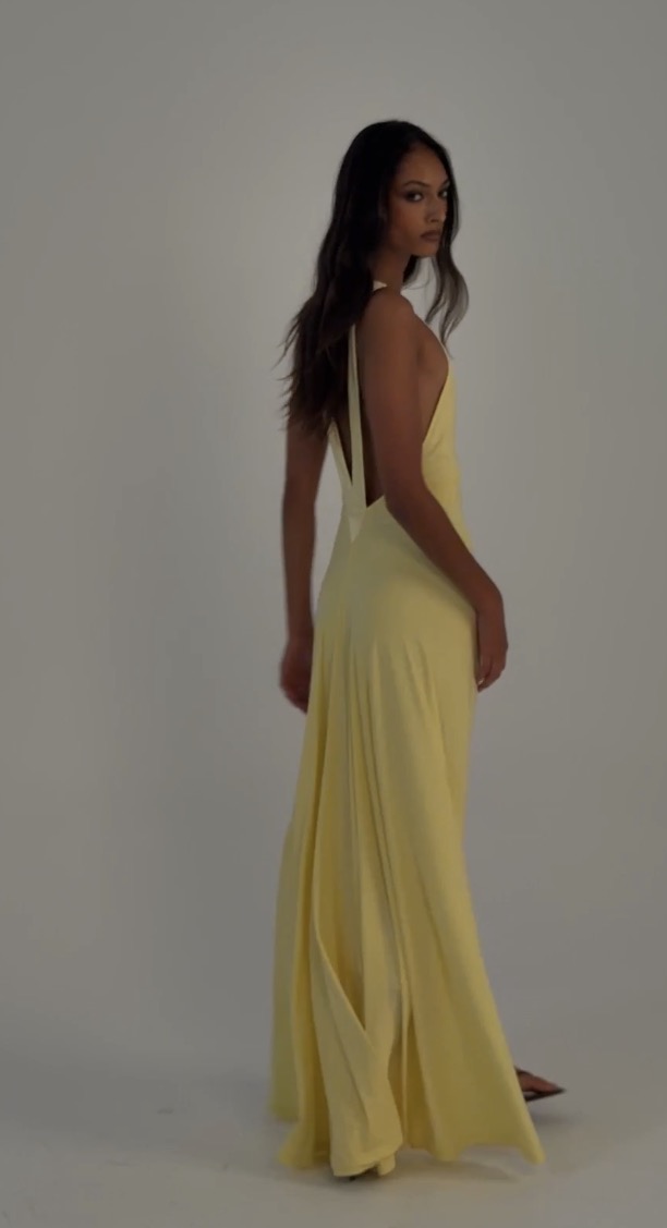 Rosa gown 3