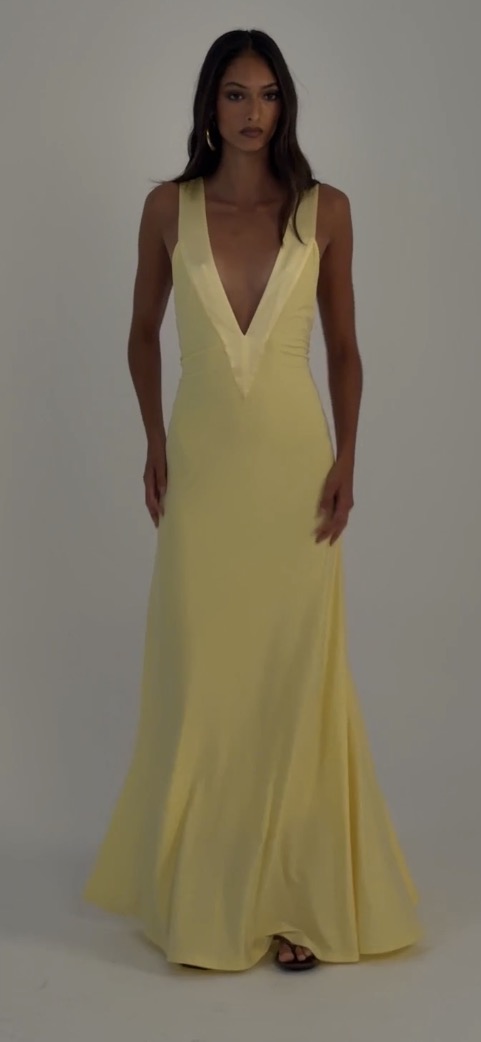 Rosa gown 4