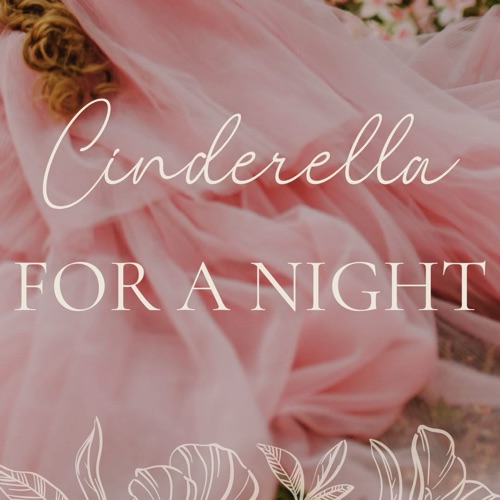 Cinderella For A Night