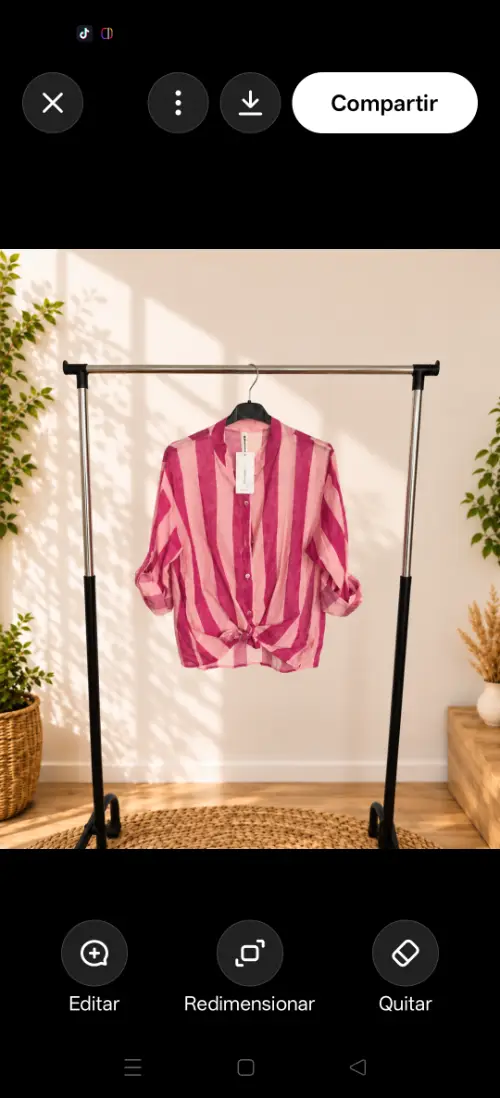 Blusa