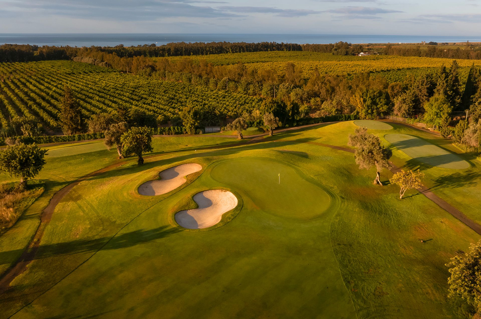 Quinta de Cima