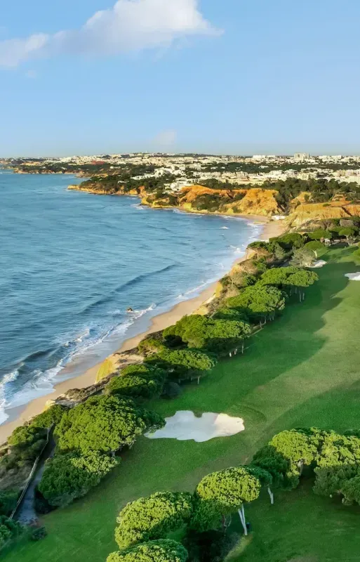 Pine Cliffs
