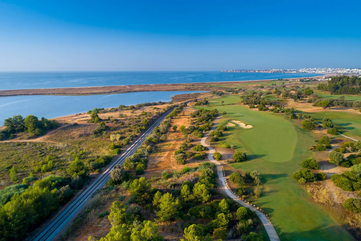 Palmares