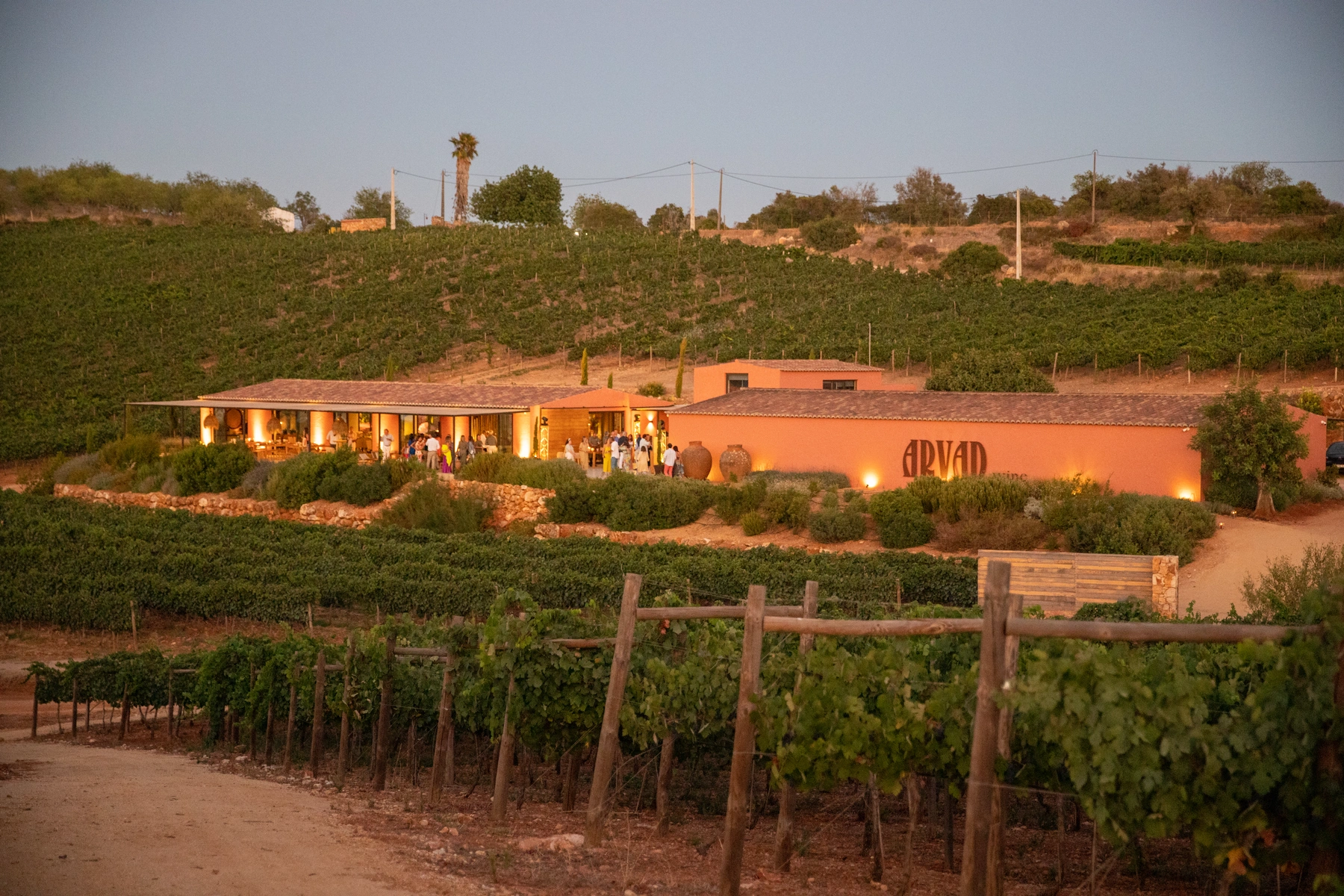 Wine Tasting