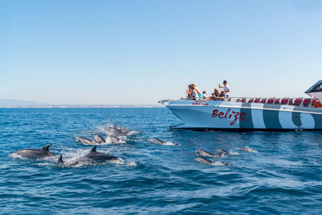 Boat Tours