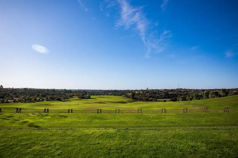 Golf Coaching