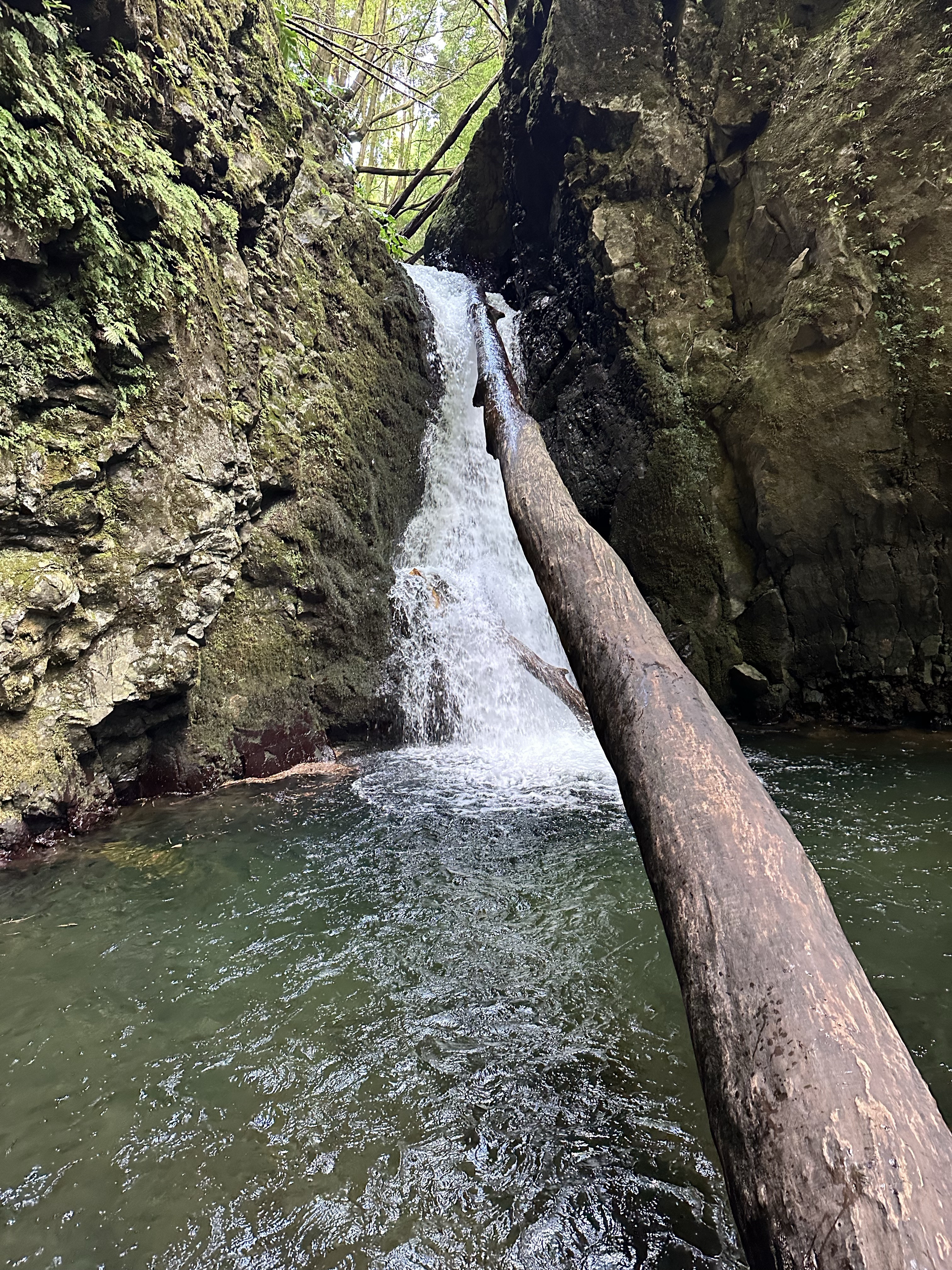 Salto do Cagarrão
