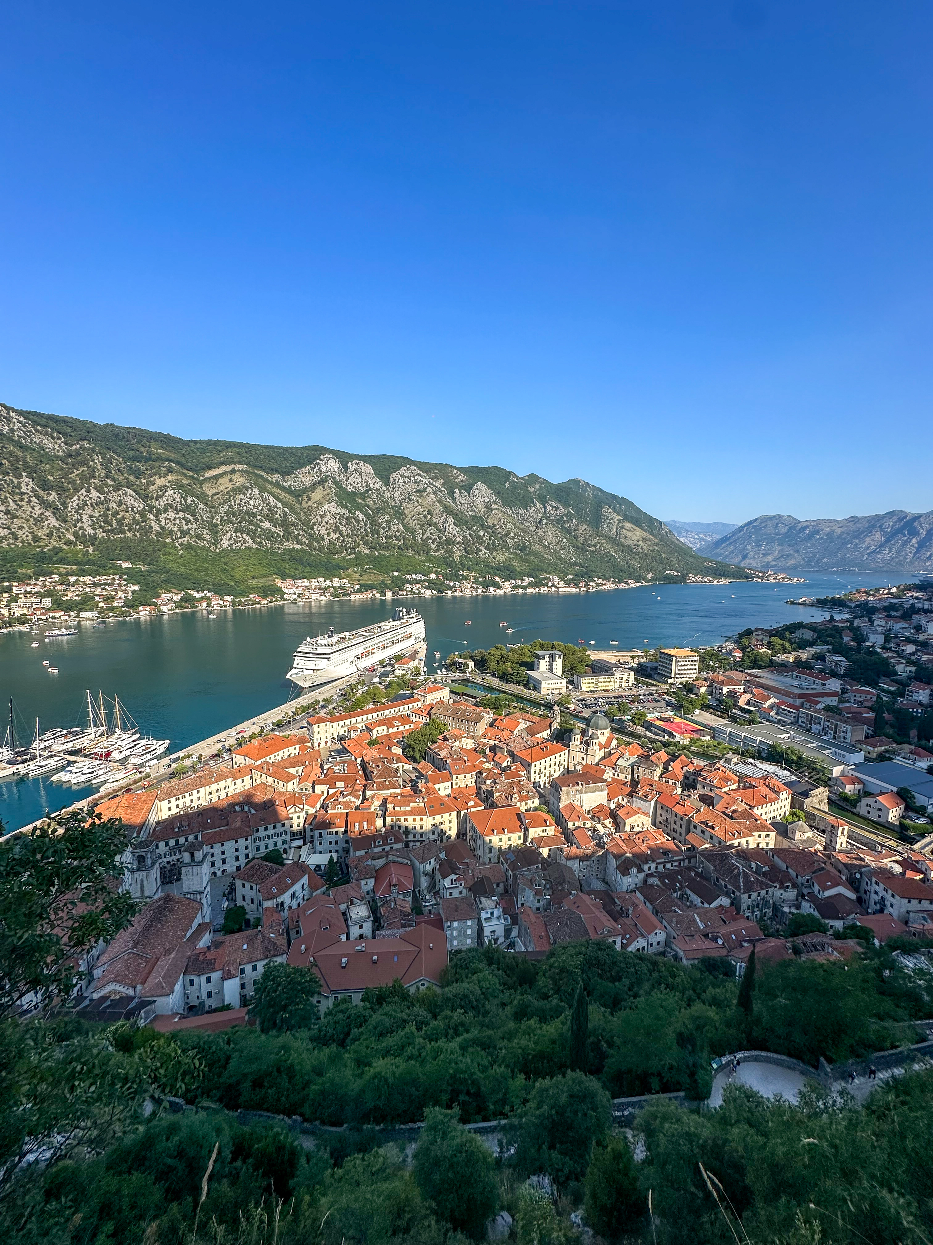 Castillo de Kotor