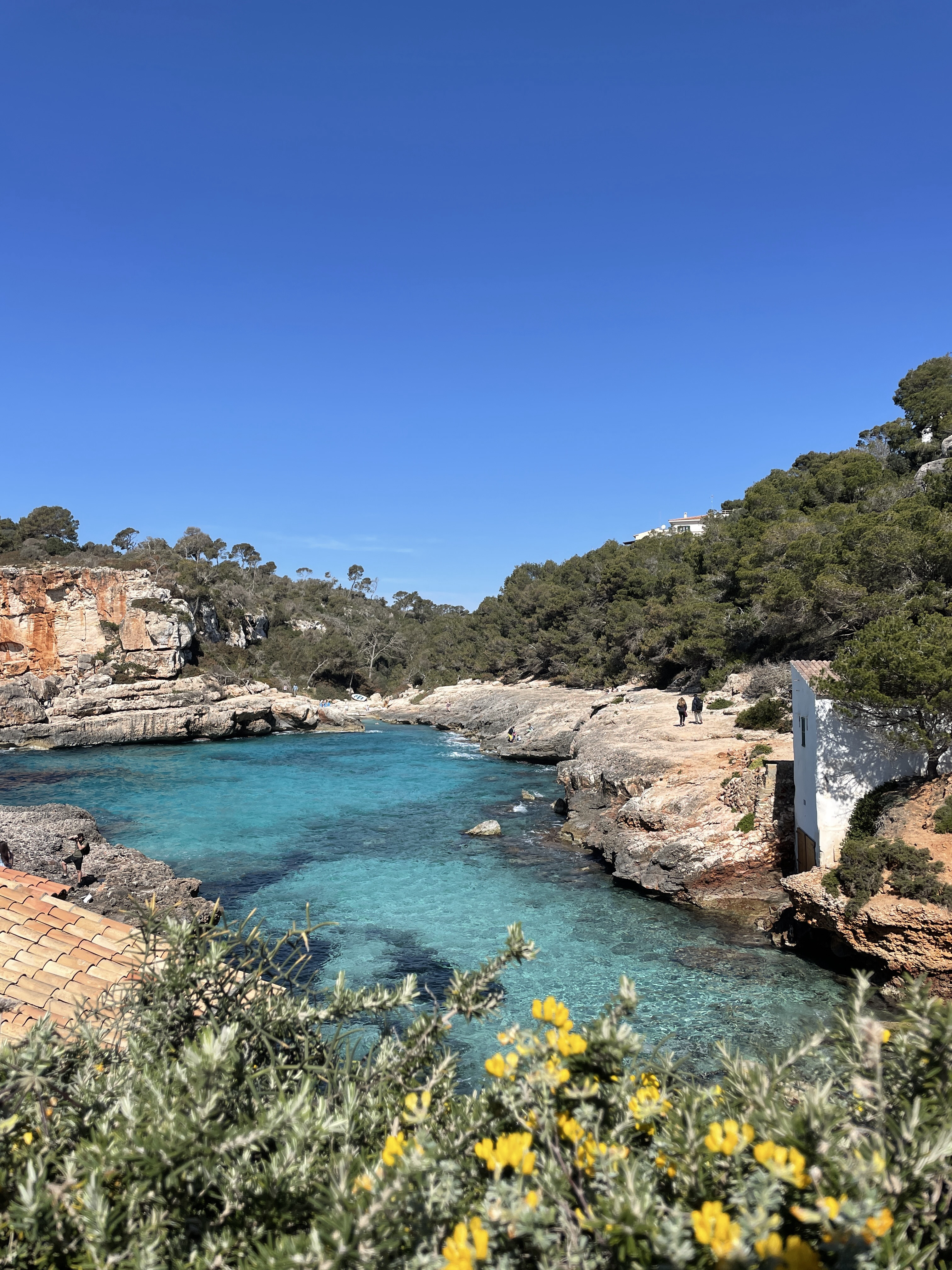 Cala s’Almunia